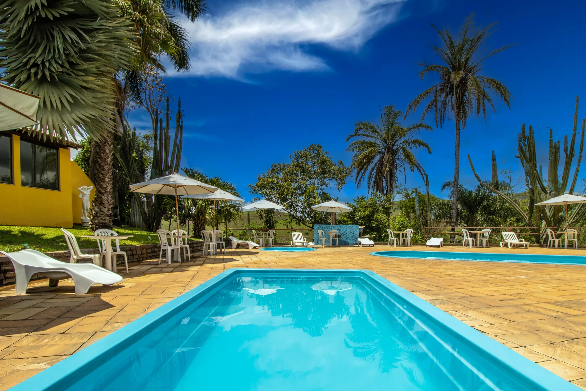 Piscina do Hotel Fazenda Minas Real em primeiro plano, com as palmeiras, os cactos e o bar amarelo ao lado